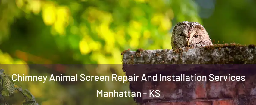  Chimney Animal Screen Repair And Installation Services Manhattan - KS