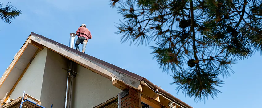 Birds Removal Contractors from Chimney in Manhattan, KS