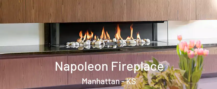  Napoleon Fireplace Manhattan - KS